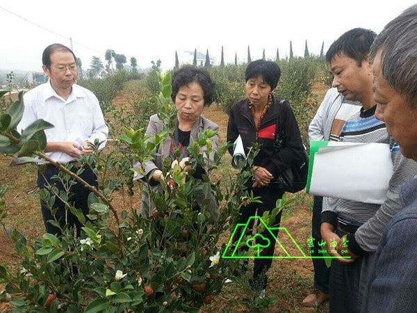 江西農(nóng)業(yè)大學郭曉敏基地指導工作