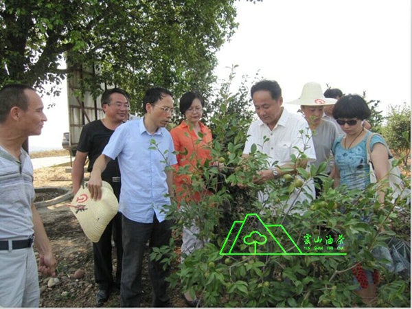 江西省油茶辦主任、工程師孫勇、省科技廳農(nóng)村工作處副處長、副調(diào)研員尹伊等基地指導工作
